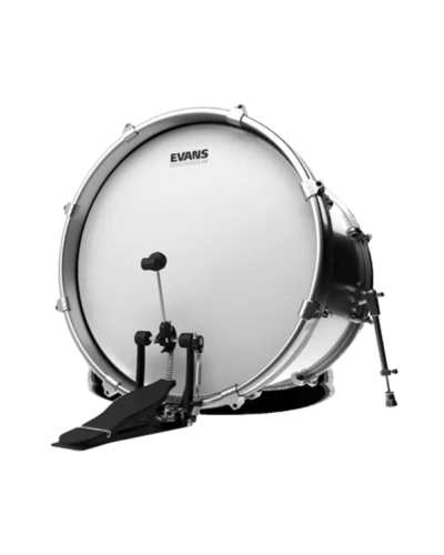 Evans BD20G2CW