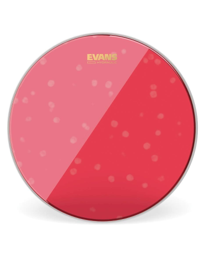 Evans BD20HR