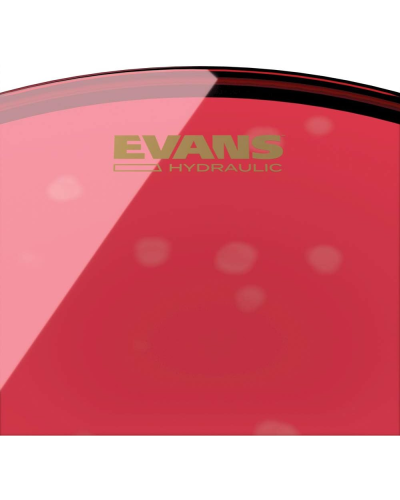 Evans BD20HR