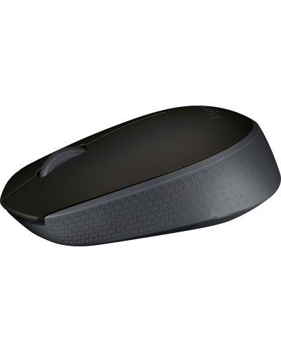 Mouse Logitech M171 Black