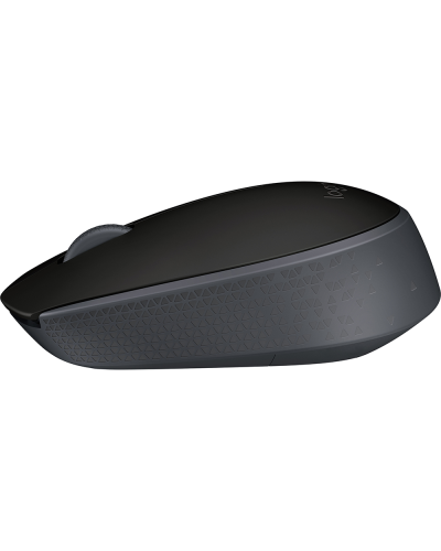 Mouse Logitech M171 Black