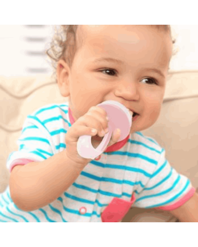 Əmzik meyvə və tərəvəz üçün BabyJem 8681049216007
