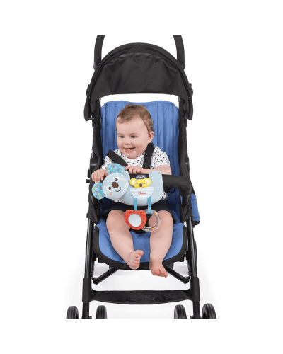 Chicco oyuncaq / 00010059000000