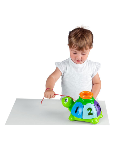 Chicco oyuncaq-sorter tısbağa 00010622000000