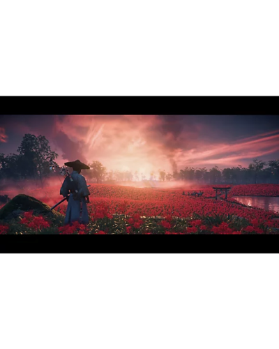 Disk PlayStation 5 (Ghost of Tsushima Director's Cut)