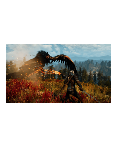 Disk Playstation 5 (The Witcher 3 Wild Hunt Complete Edition)