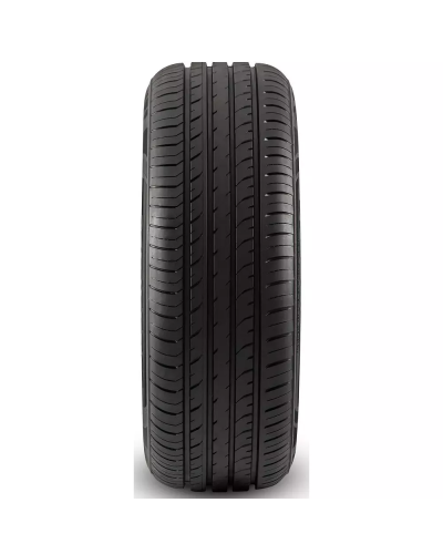 Davanti DX390 99W XL 225/55R16 (001.DV.505215)