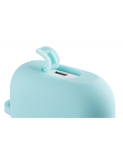 Case For Airpods Pro 2E Mint