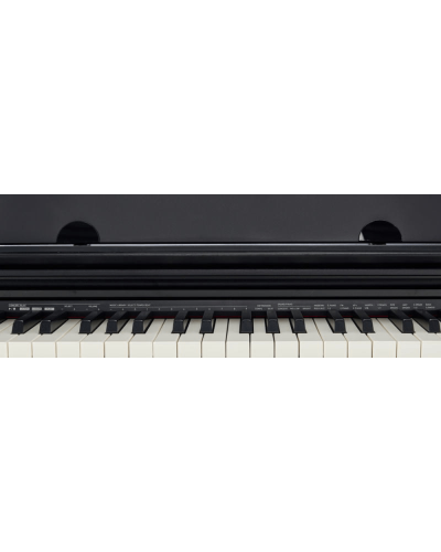 Casio Privia PX-770 Qəhvəyi