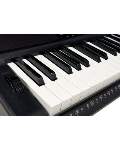Casio CT-X800