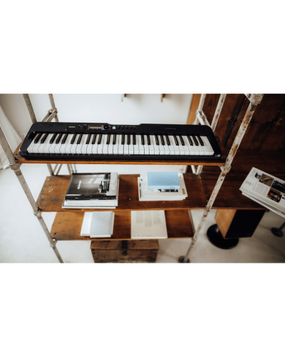 Casio LK-S250