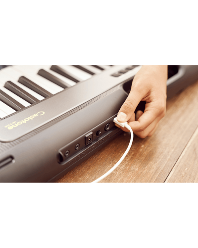Casio LK-S250