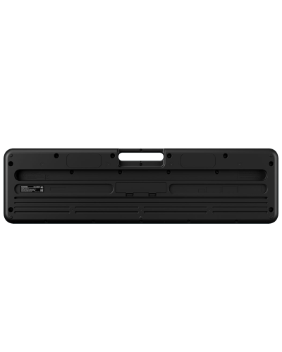 Casio LK-S250