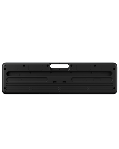 Casio LK-S250