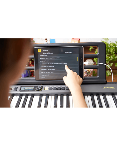 Casio LK-S250