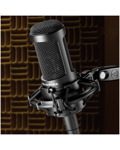 Mikrofon Audio-Technica AT2035