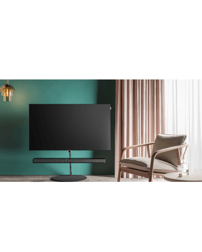 Televizor Loewe Bild I.48 DR+