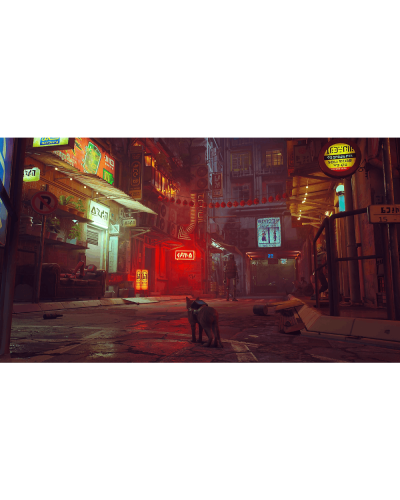 Disk Playstation 5 (Stray)