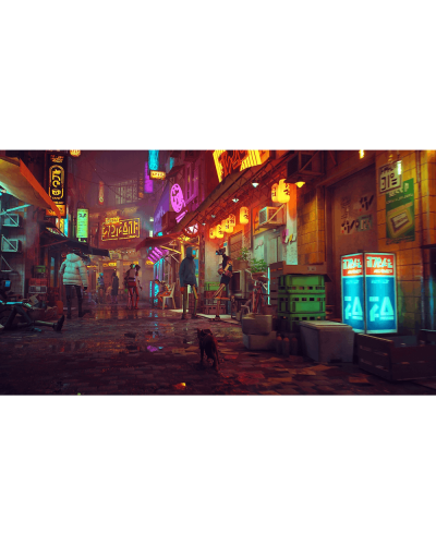 Disk Playstation 5 (Stray)