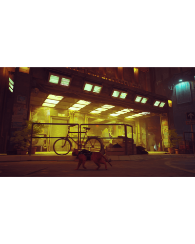 Disk Playstation 5 (Stray)
