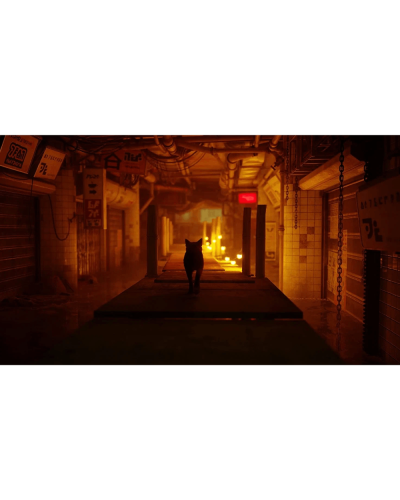 Disk Playstation 5 (Stray)