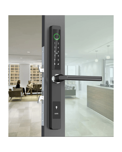 Ağıllı qapı kilidi QL-S617
