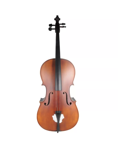 Amati CM100 4/4