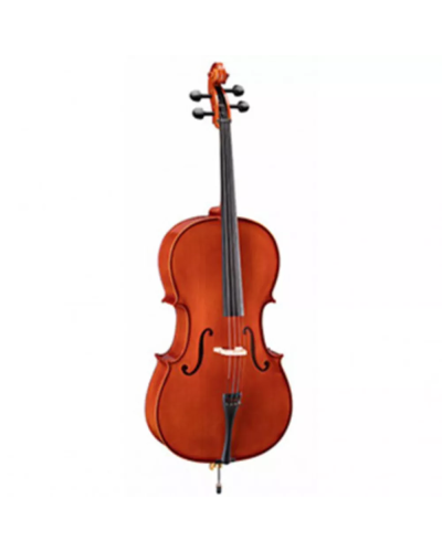 Soundsation Virtuoso Student VSCE-44