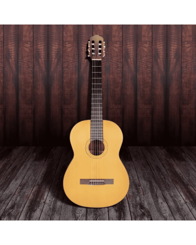 Klassik Gitara Soundsation Toledo CST-44NT