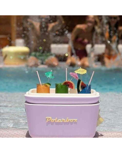 Termo çanta Polarbox 20L PLB20/M/CLASS