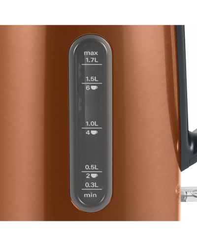 Çaydan Bosch TWK4P439