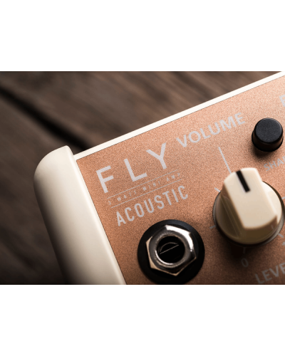 Blackstar Fly 3 Acoustic