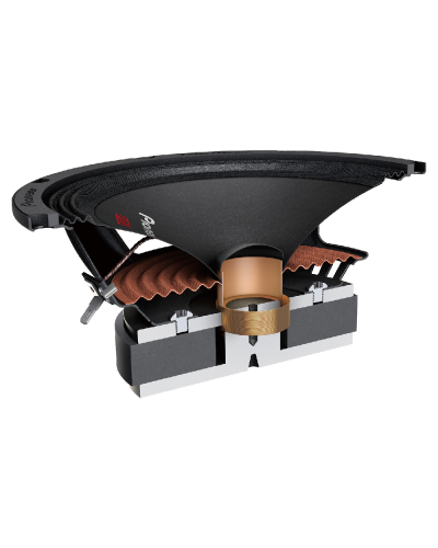 Pioneer TS-M1610PRO