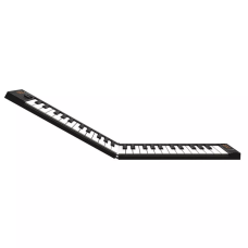 Carry-On Folding Controller 49