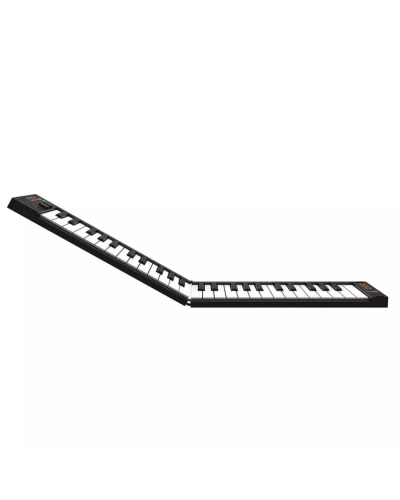 Carry-On Folding Controller 49