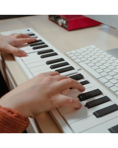 Carry-On Folding Midi Piano 49 Key