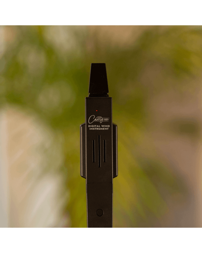 Carry-On Digital Wind Instrument Black