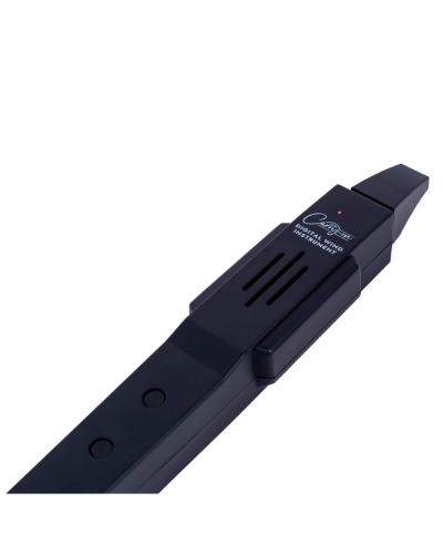 Carry-On Digital Wind Instrument Black