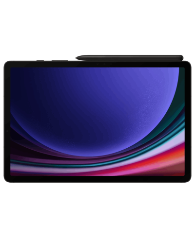 Samsung Galaxy Tab S9 5G 128 GB (SM-X716) Graphite