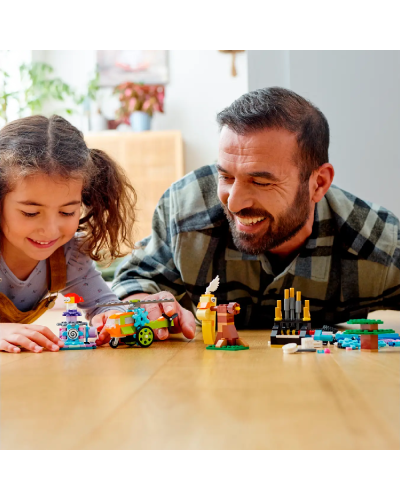 LEGO Classic Bricks and Functions / 11019