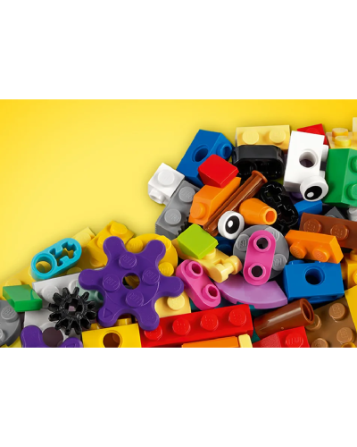 LEGO Classic Bricks and Functions / 11019