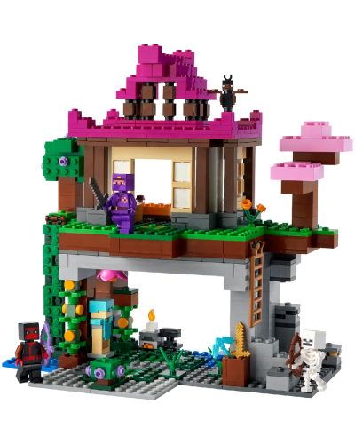 LEGO Minecraft The Training Grounds 21183 / 5702017156613