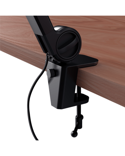 Microphone & Arm Trust GXT 255+ Onyx 24354