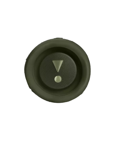 JBL Flip 6 Green