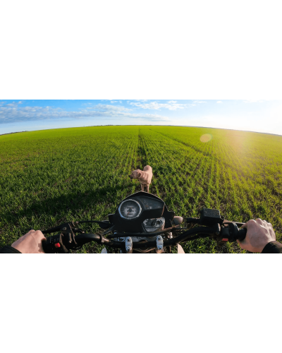 Gopro Performance